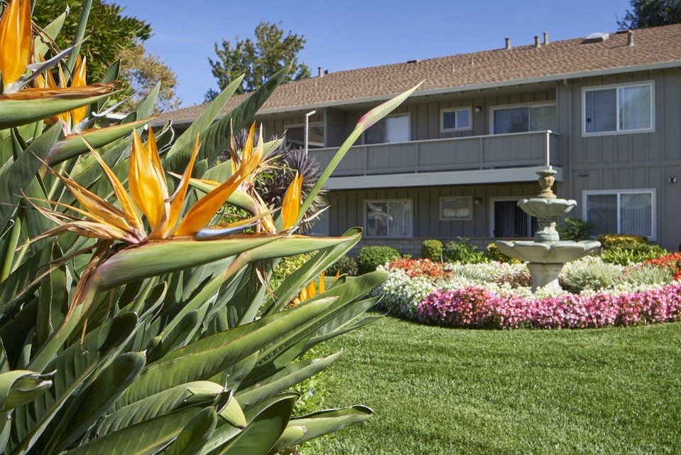a yard with flowers and a building in the background