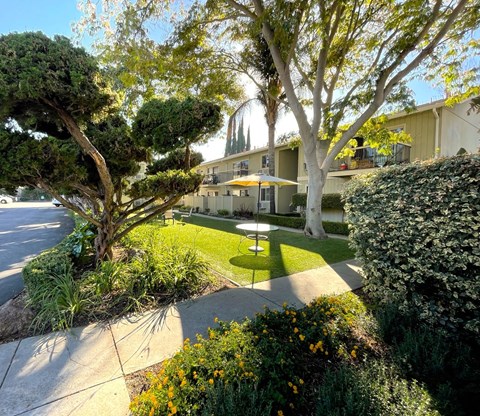 Outdoor courtyard space rodesse Property Group Rose Court Apartments 230 Rose CourtCampbell, CA 95008