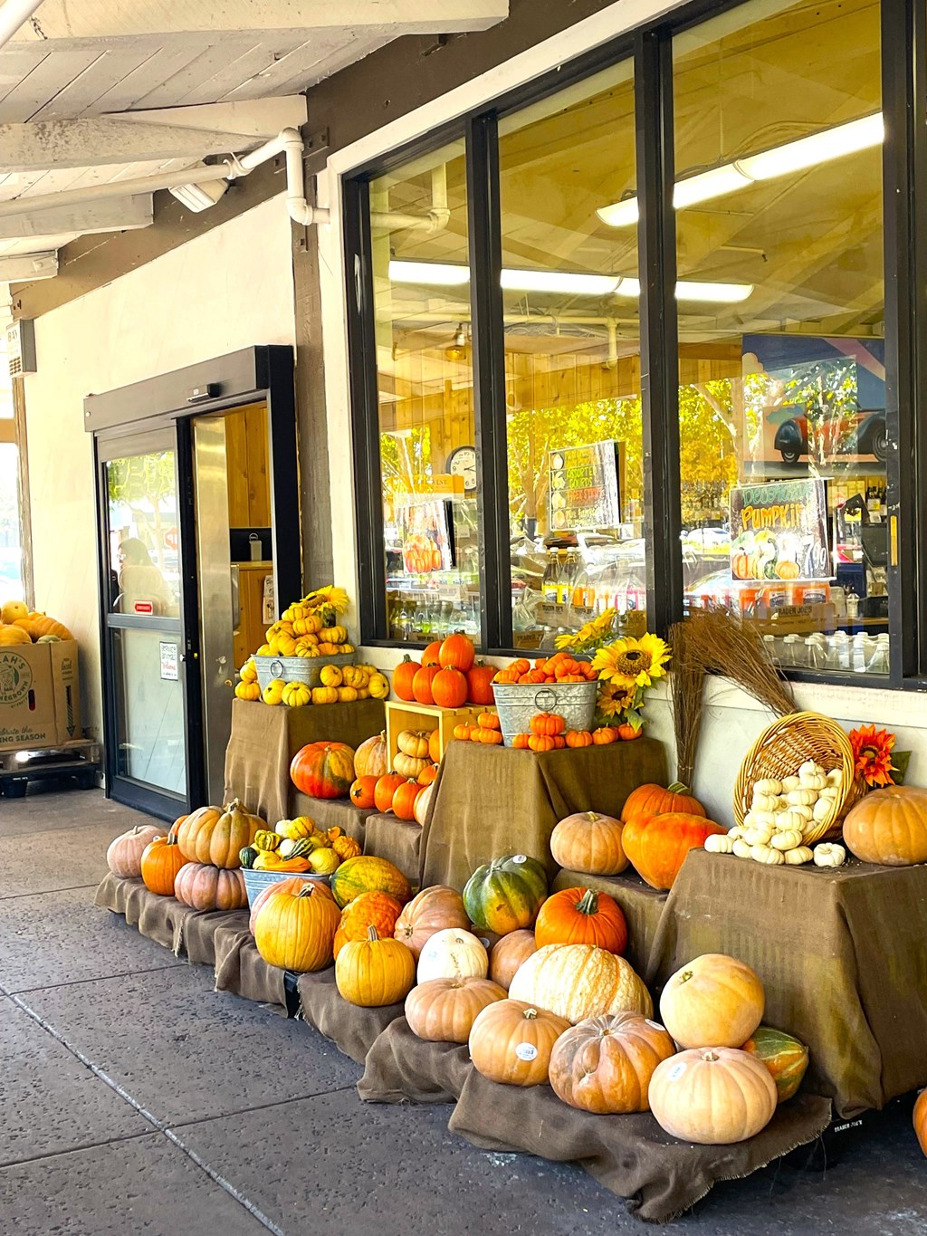Exterior of Trader Jose near Prodesse Property Group Rose Court Apartments 230 Rose Court Campbell, CA 95008