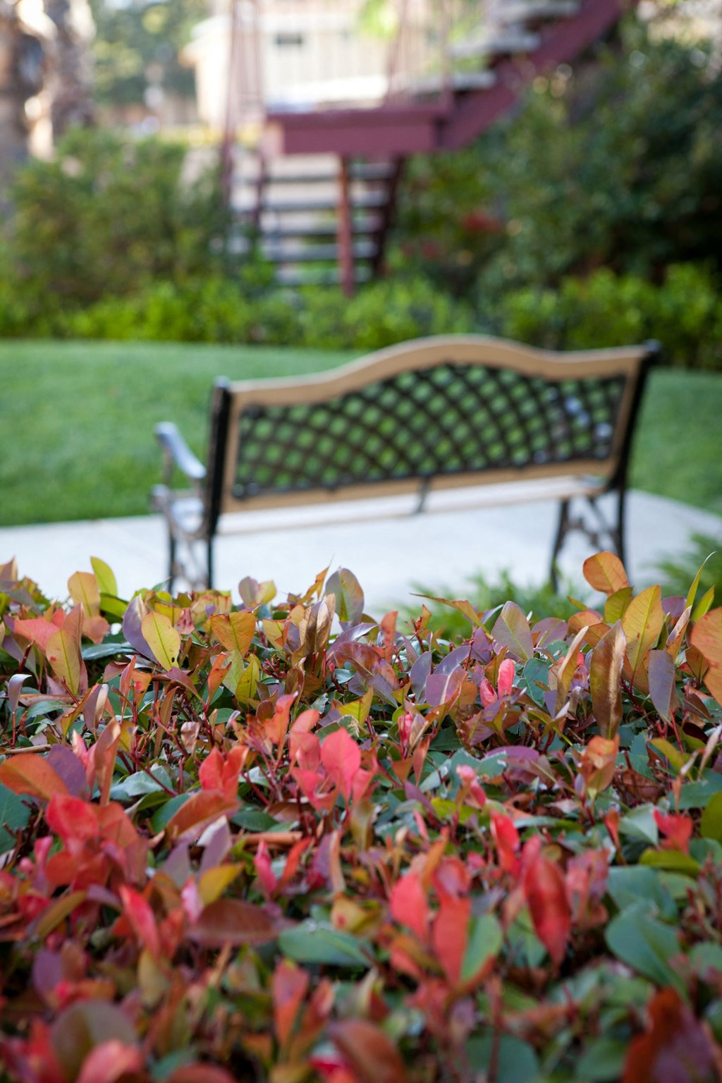 Park Regent Apartments 2020 Latham Street  Mountain View, CA 94040