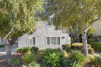 East 39th Viewpoint Surround Windows - Photo Gallery 5