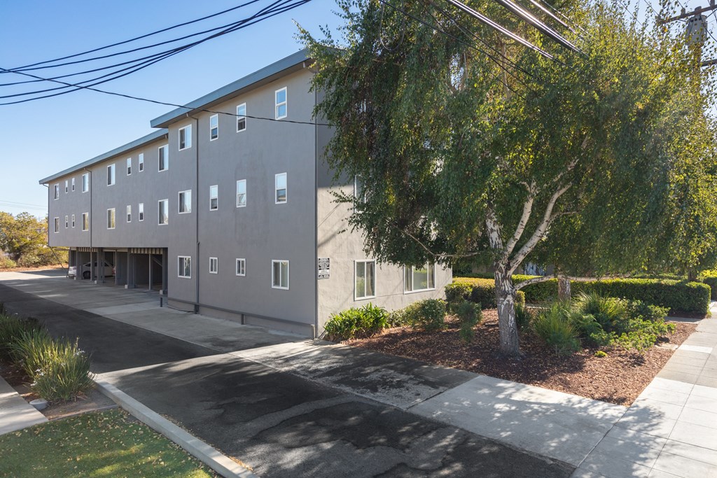 Landscaped Side Access