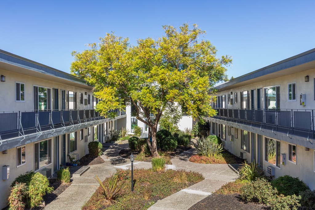 The Waverly At Campbell