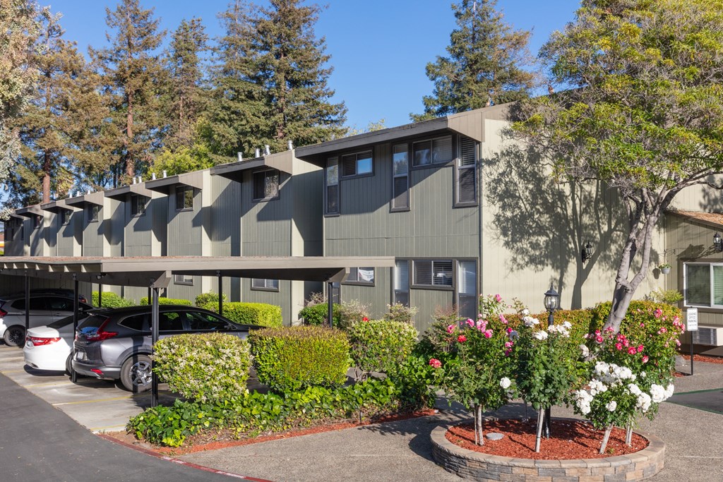 Riverdeck Apartments