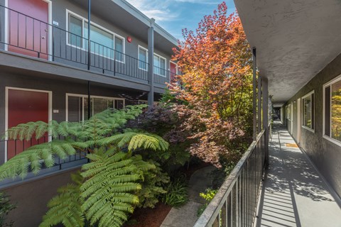 a courtyard with ferns and trees next to a building