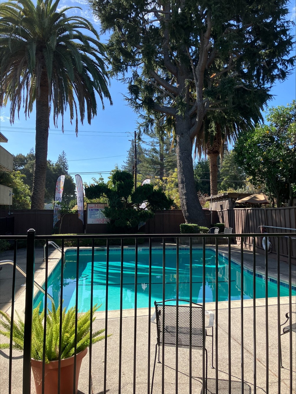 a swimming pool in a backyard with palm trees