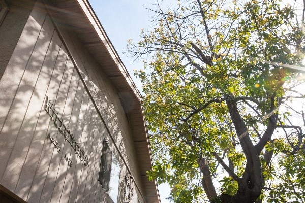 a view of the side of a building with a tree in the background