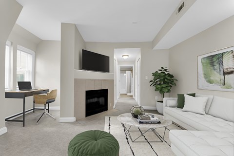 Living Room Fireplace