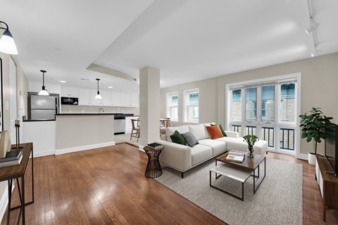 Living Room and Kitchen