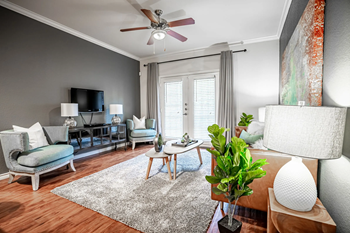 9900 McNeil Dr 1-3 Beds Apartment for Rent - Photo Gallery 2