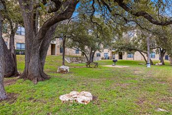A tree in a grassy area with a building in the background. at The Royce at 8100, Texas, 78729