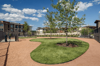 4800 Steiner Ranch Blvd 1-3 Beds Apartment for Rent - Photo Gallery 11