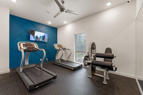 A gym with treadmills, a stationary bike, and a rowing machine.