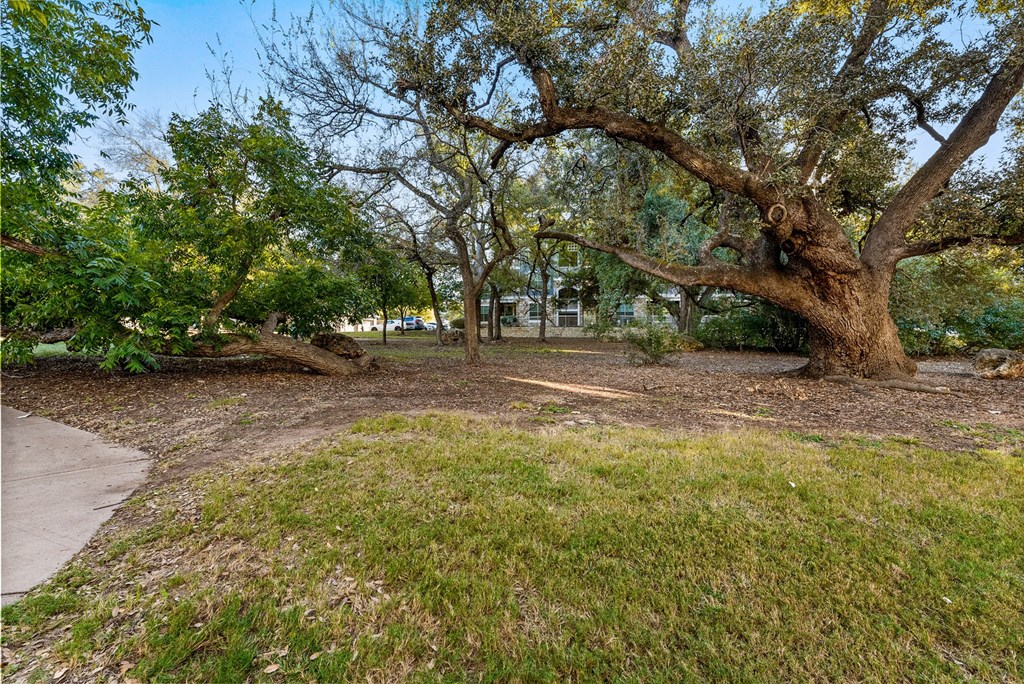 Green Space at Bridge at Indigo, Austin, 78717