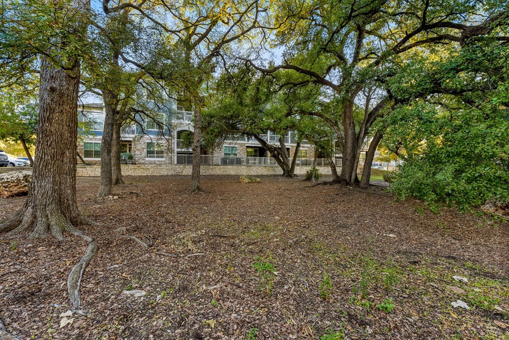 A tree-filled area with a building in the background. at Bridge at Indigo, Austin, Texas