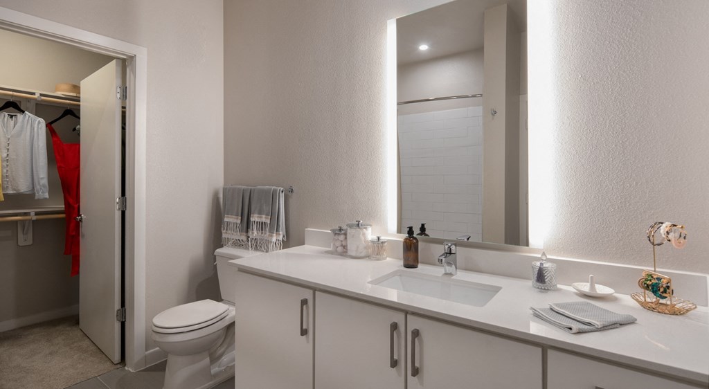 a bathroom with a sink and a toilet and a mirror