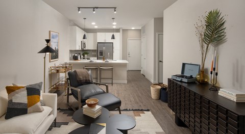 a living room and kitchen in an apartment