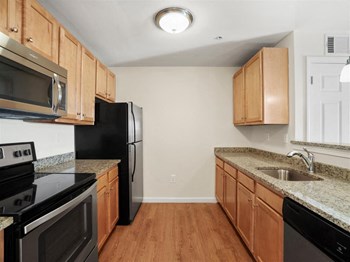 105 Hopkins Street 1-2 Beds Apartment for Rent - Photo Gallery 6