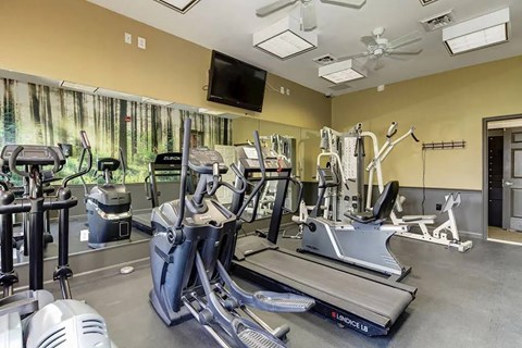 A gym with treadmills, elliptical machines, and other exercise equipment.