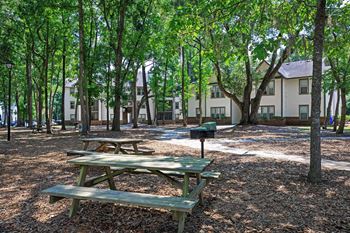 Picnic Area at Westbury Mews, Summerville