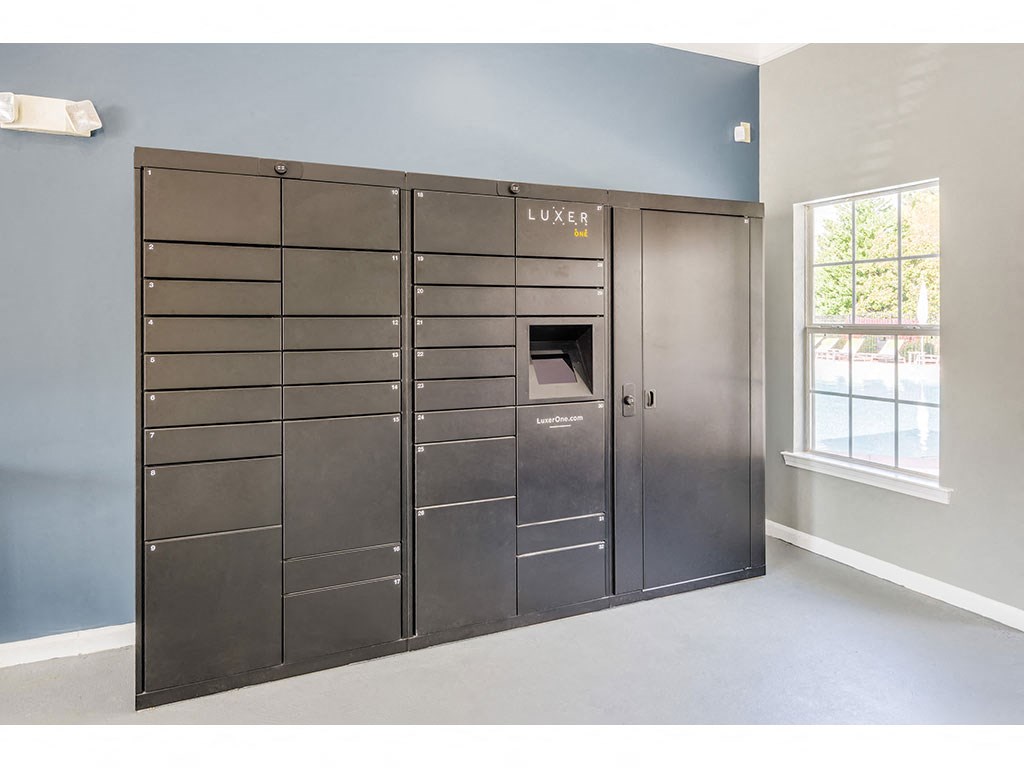 Luxor Package Lockerat One Rocky Ridge Apartment, Georgia