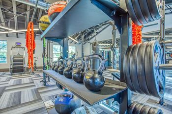 Modern Fitness Center at The Beck at Hidden River, Tampa, Florida