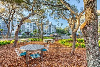 a picnic area at The Beck at Hidden River, Florida , 33637
