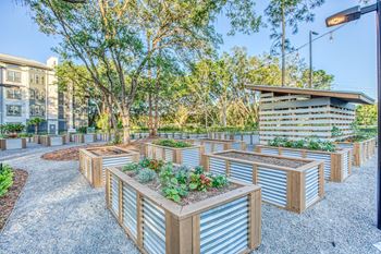 a community garden with wooden planters and trees at The Beck at Hidden River, Tampa, FL