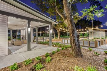 the yard of a building with a tree and benches at The Beck at Hidden River, Tampa, FL, Florida , 33637