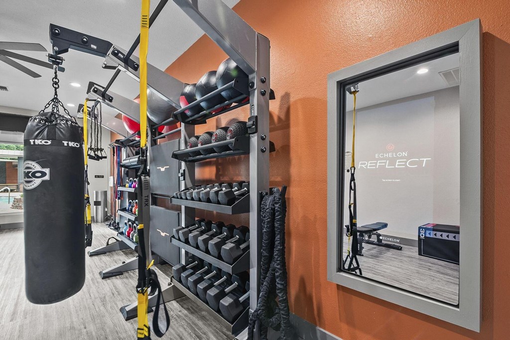 a gym with a punching bag and weights on a rack next to a mirror at The Aster Sugar Land, Texas, 77498
