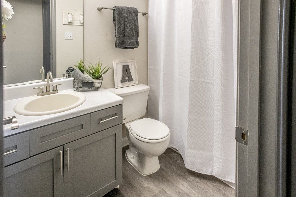 Bathroom at Addison at Collierville Apartments in Collierville TN 38017