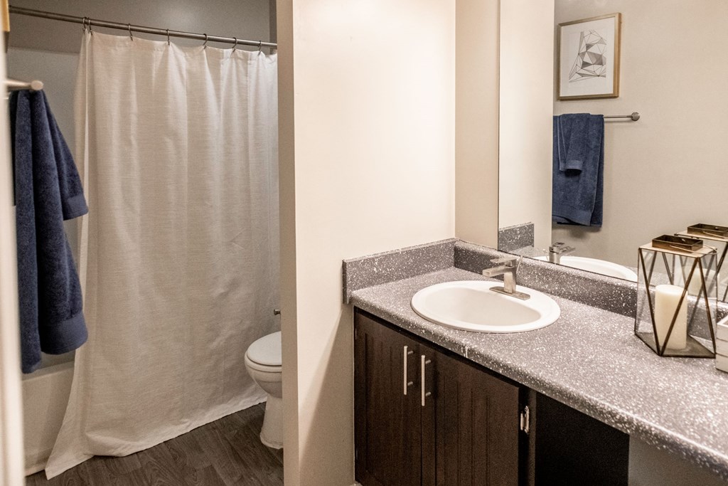 Bathroom located at Addison on Cobblestone located in Fayetteville, GA 30215