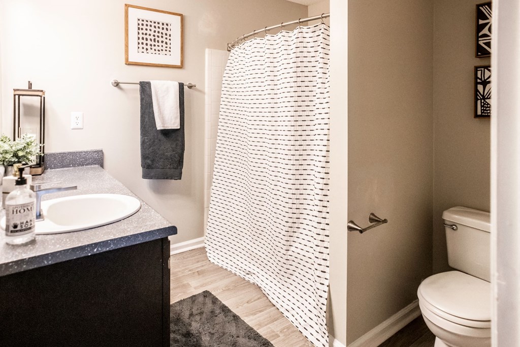 Shower/Tub Combo and Vanity located at Addison on Cobblestone located in Fayetteville, GA 30215