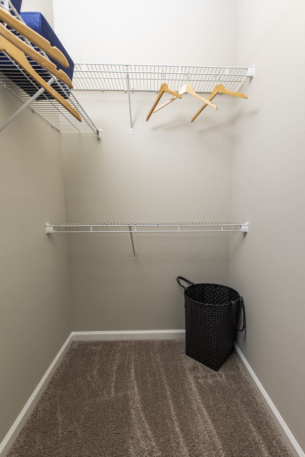 a spacious closet with shelves and a basket in the corner