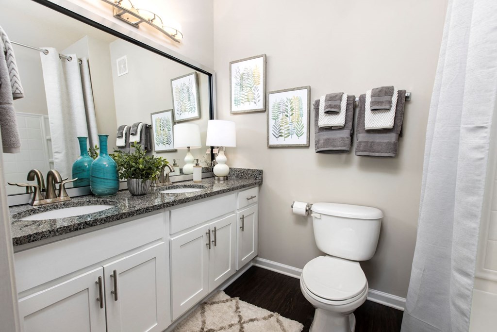 a bathroom with a toilet and a sink and a mirror at Ansley at Town Center in Evans GA