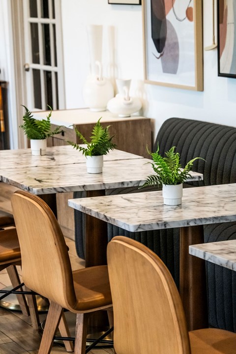 A marble table with chairs and potted plants.