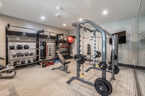 A well equipped gym with a variety of weights and machines.