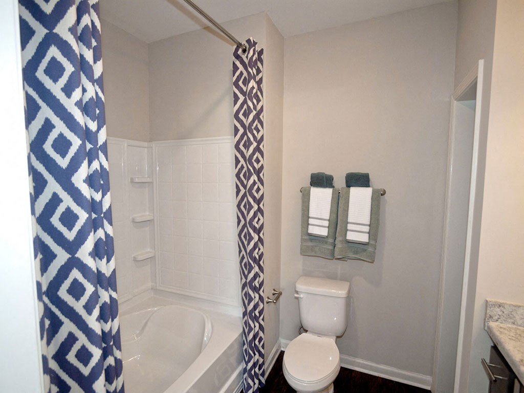 Bathroom With Bathtub at Ansley at Roberts Lake, Arden, North Carolina