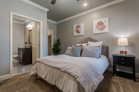 Cozy Bedroom at Arlo Luxury Apartment Homes, Arkansas, 72210