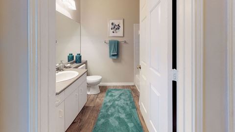 a bathroom with a white sink and toilet next to a green rug