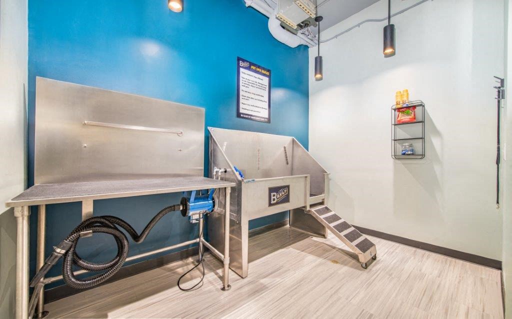 Pet Spa and grooming at The Baxly, Savannah, GA, 31401