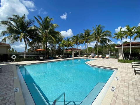 Pool  at Casa Brera, Lake Worth, 33463