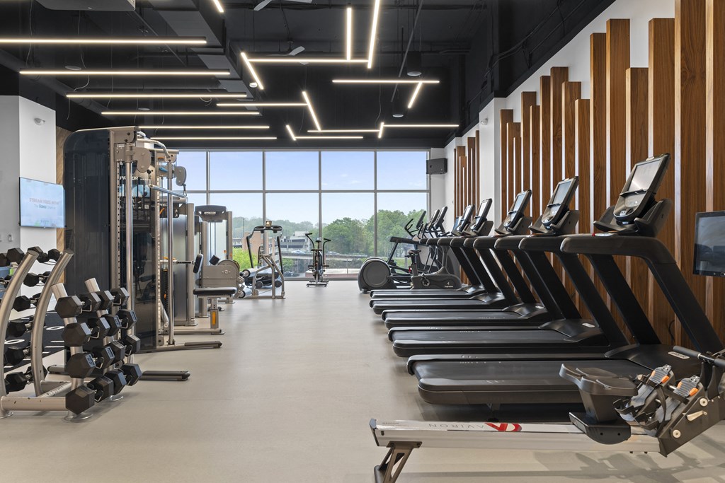 a row of cardio machines in a gym with a window at Deca Apartments, Greenville, 29601
