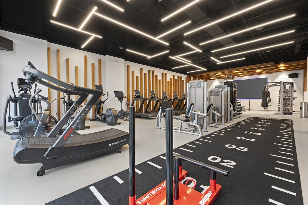 a gym with cardio equipment and weights on the floor at Deca Apartments, Greenville, 29601