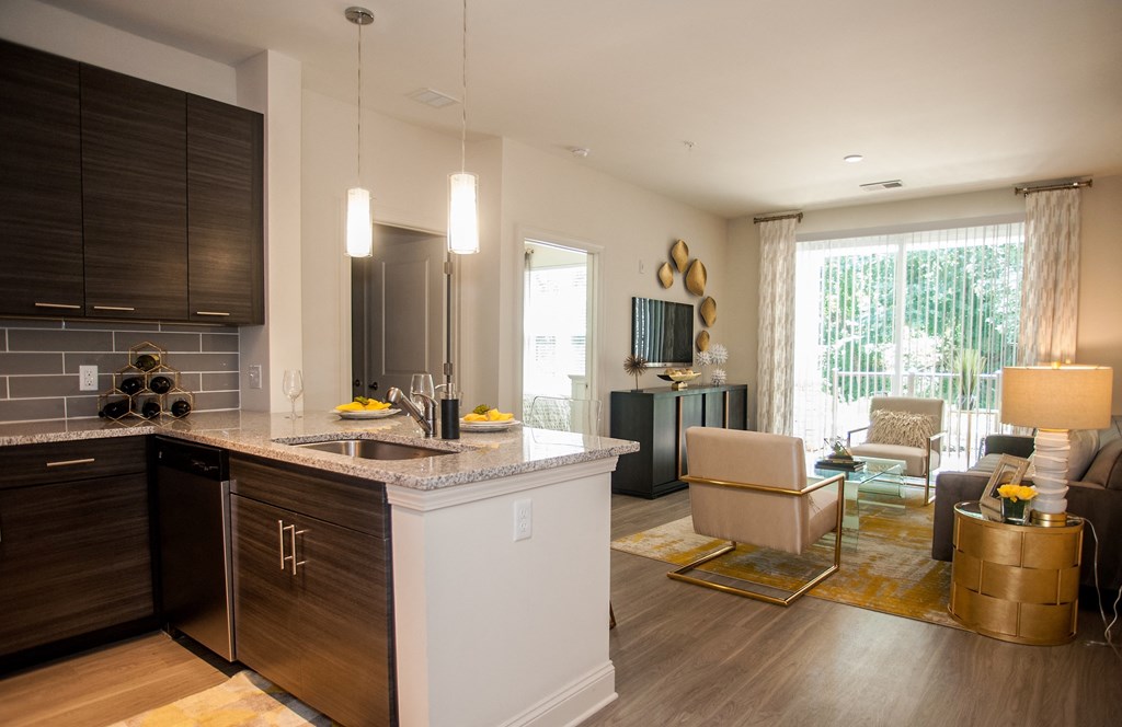 Model kitchen and living room at Fifth Street Place Apartments, Charlottesville, VA