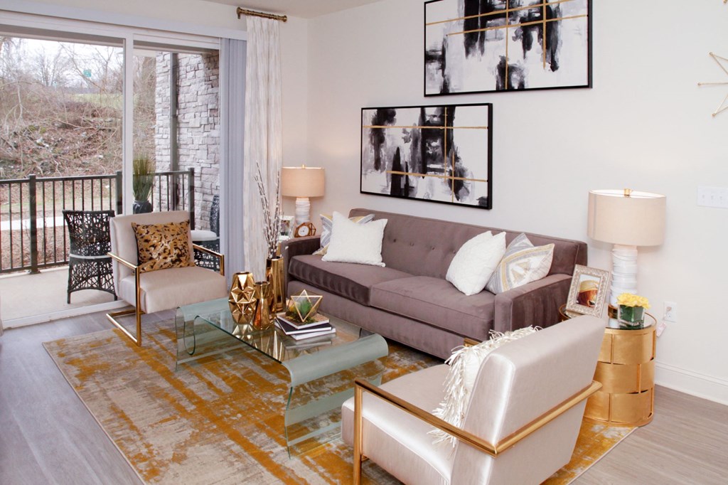 model living room at Fifth Street Place Apartments, Charlottesville, VA