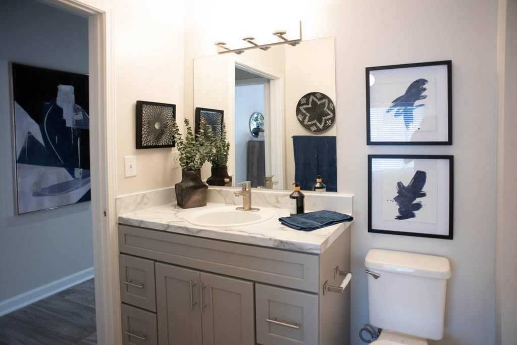 a bathroom with a white toilet next to a sink with a mirror above it at Appling Lakes, Tennessee, 38016