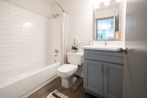 a bathroom with a toilet and a tub and a sink at 1900 Rosemont, Georgia