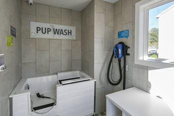 A white sink and a sign that says PUP WASH.
