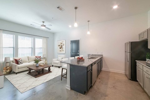 Kitchen And Living Area at Lakeland Town Square, Lakeland